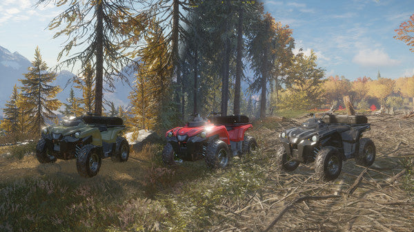 theHunter: Call of the Wild - Greenhorn Bundle PC Windows 10 Account