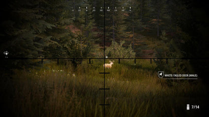 Hunting Simulator 2 PS5 Account