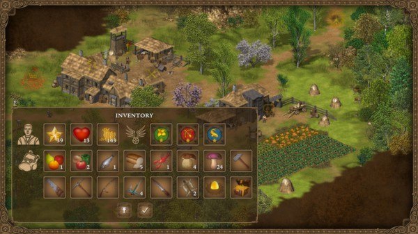 Hero of the Kingdom Steam CD Key