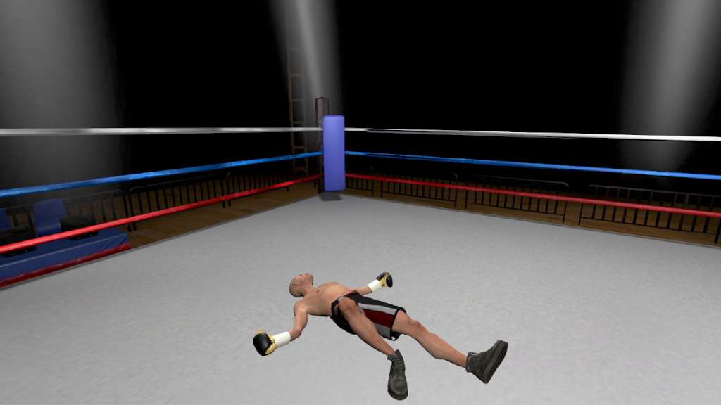 The Thrill of the Fight - VR Boxing Meta Quest Gift