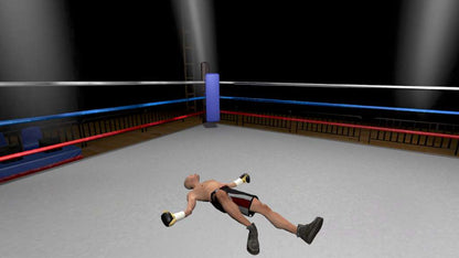 The Thrill of the Fight - VR Boxing Meta Quest Gift