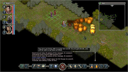 Avadon: The Black Fortress PC Steam CD Key