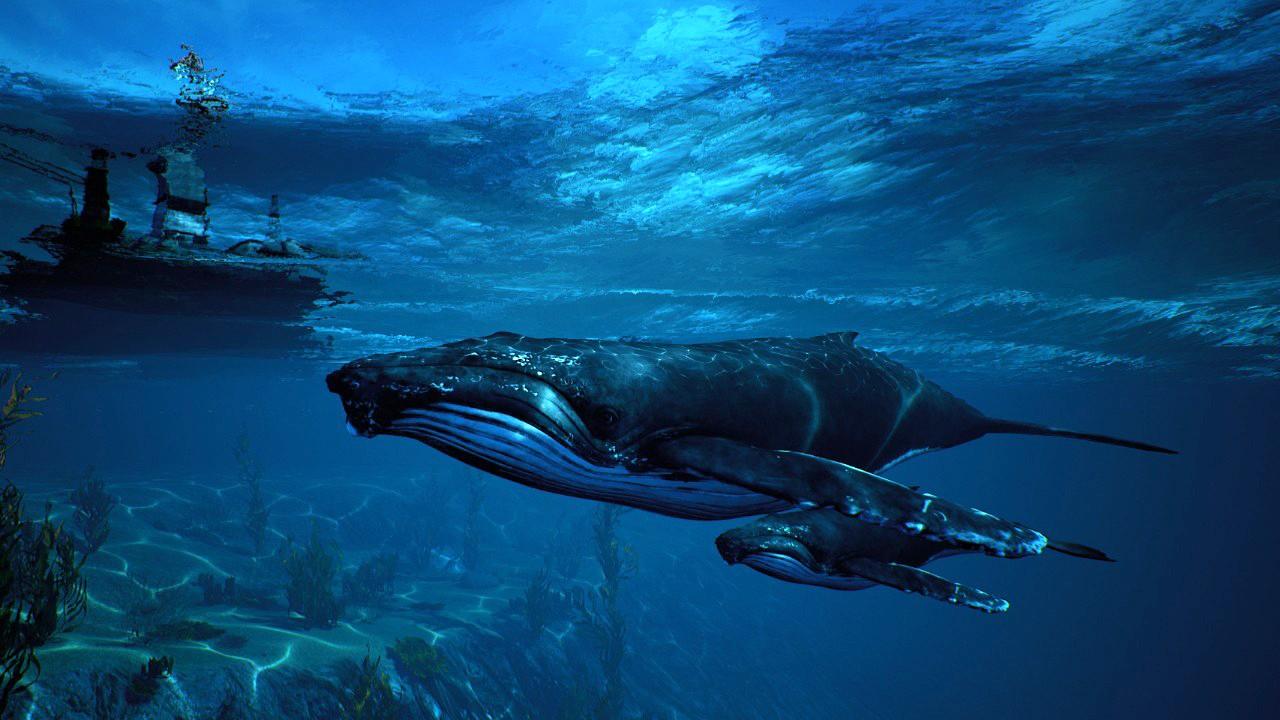 Maneater EU XBOX One CD Key
