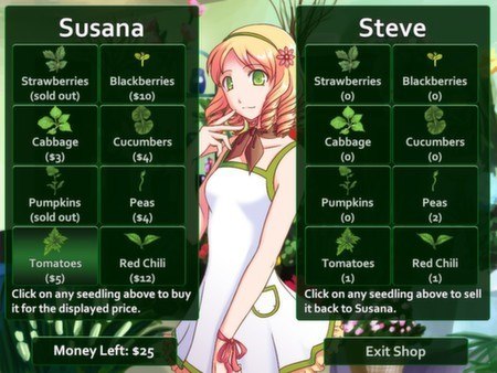 Flower Shop: Summer In Fairbrook Steam CD Key