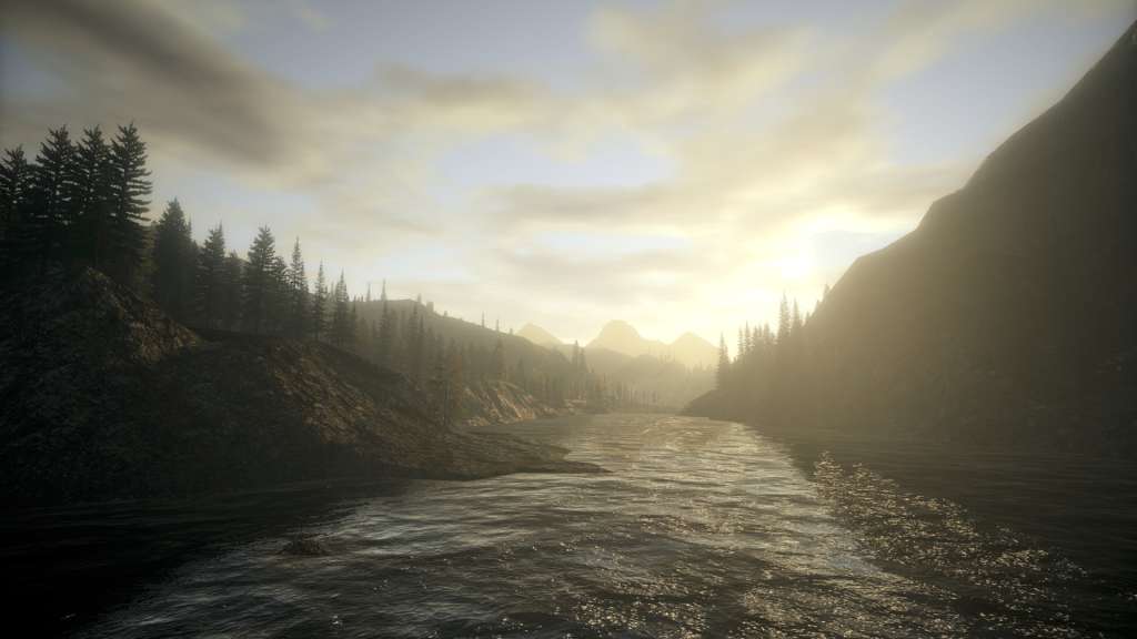Alan Wake Collector's Edition EU PC Steam CD Key