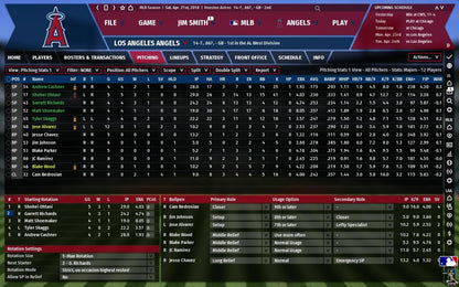 Out of the Park Baseball 19 Steam CD Key