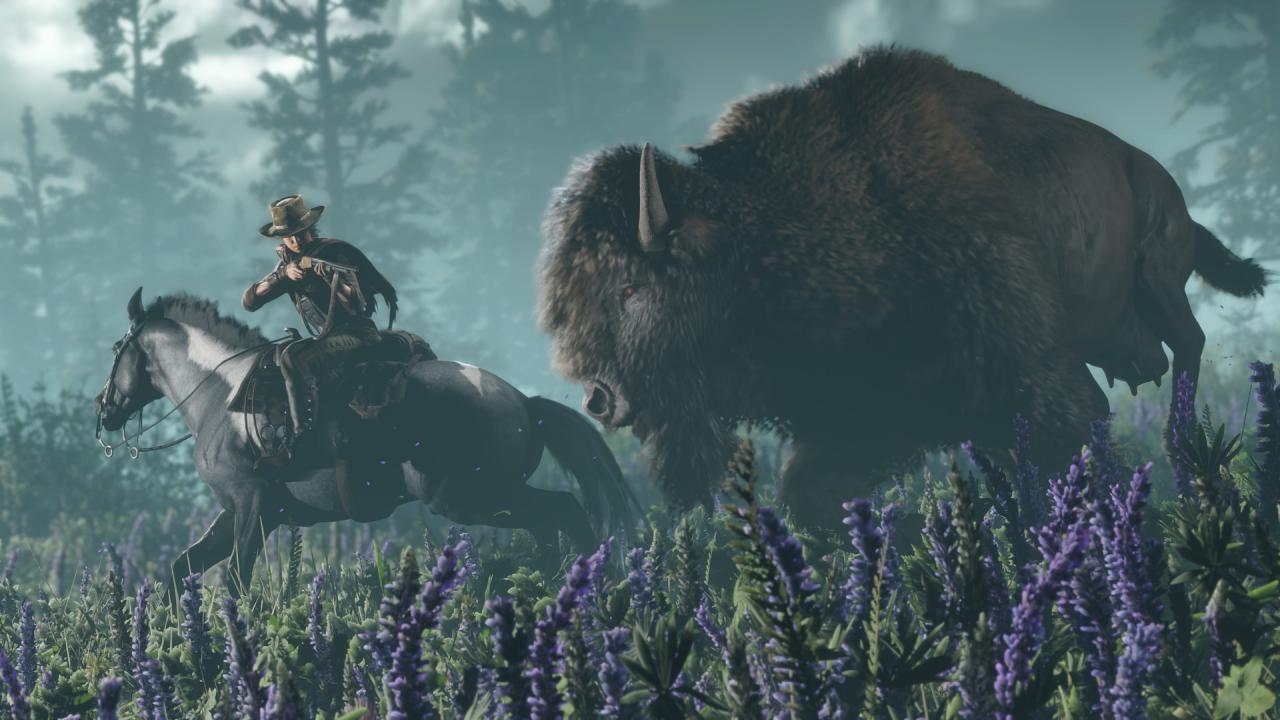 Red Dead Online PS4 Account