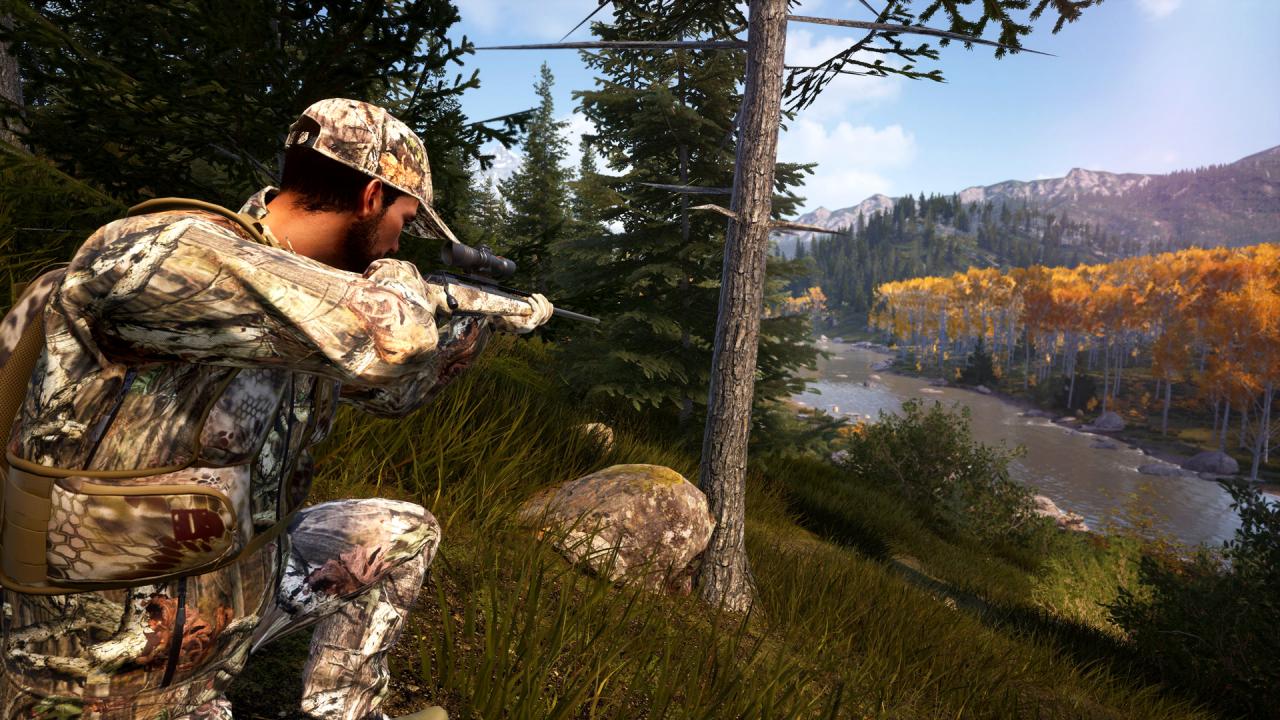 Hunting Simulator 2 Bear Hunter Edition PS4 Account