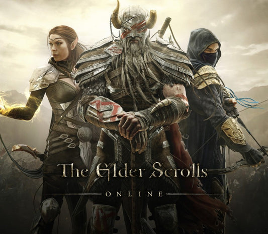 The Elder Scrolls Online - Morthal Jarl Finery Costume DLC PC Digital Download CD Key