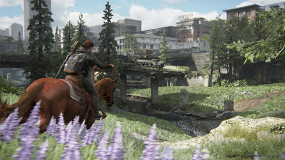 The Last Of Us Part 2 PS4 Account