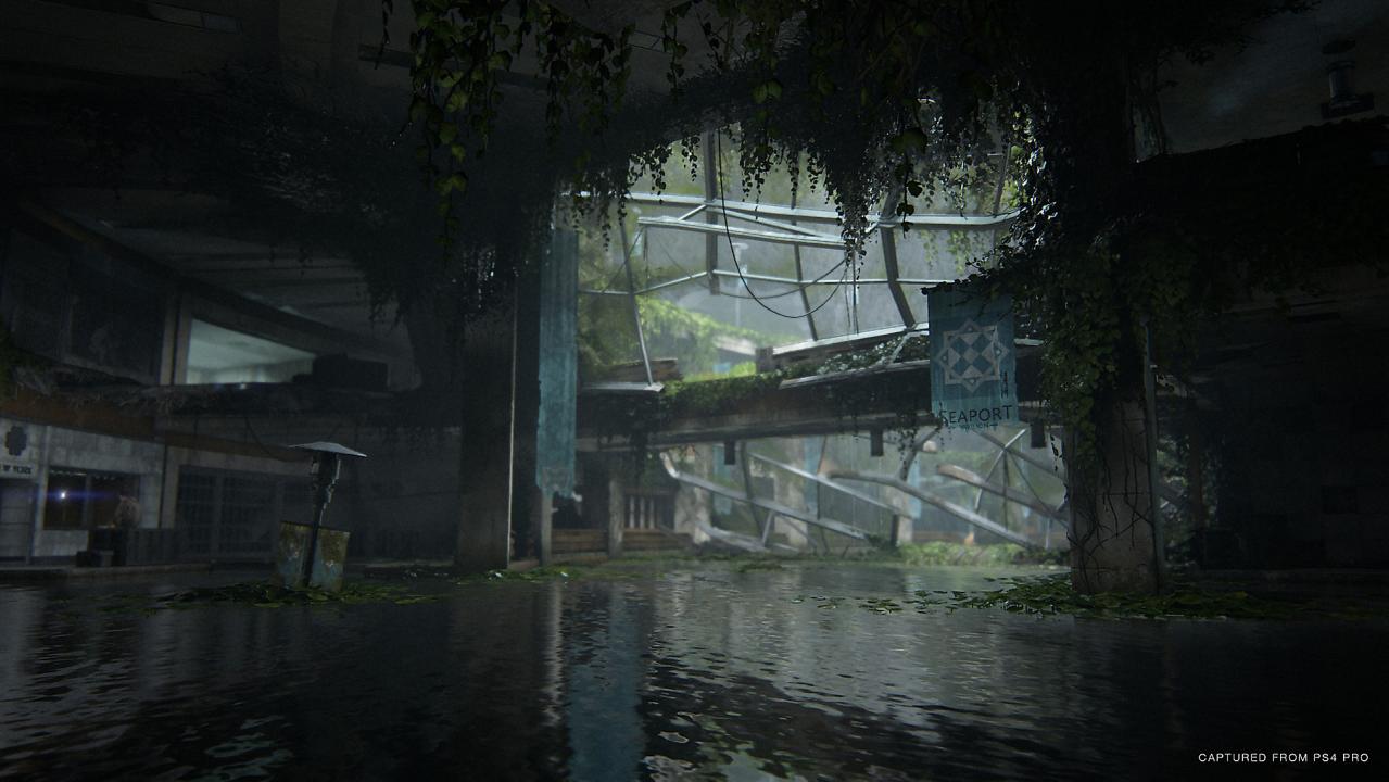 The Last Of Us Part 2 Deluxe Edition PS4 Account