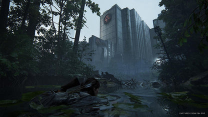 The Last Of Us Part 2 PS4 Account