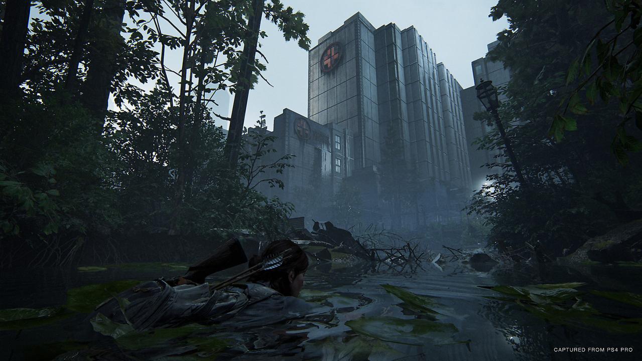 The Last Of Us Part 2 PS4 Online Account Activation