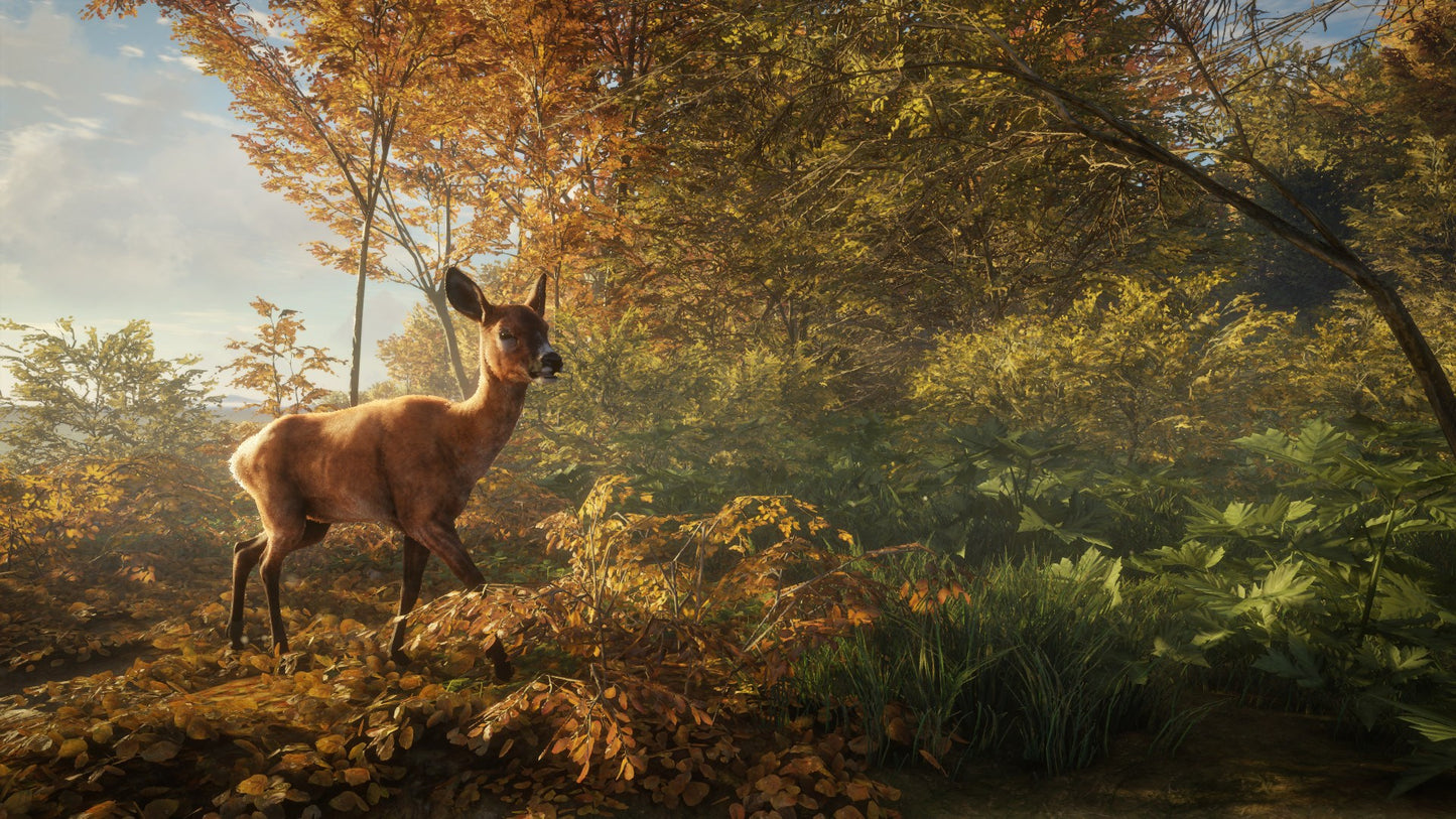 theHunter: Call of the Wild PS4 Account