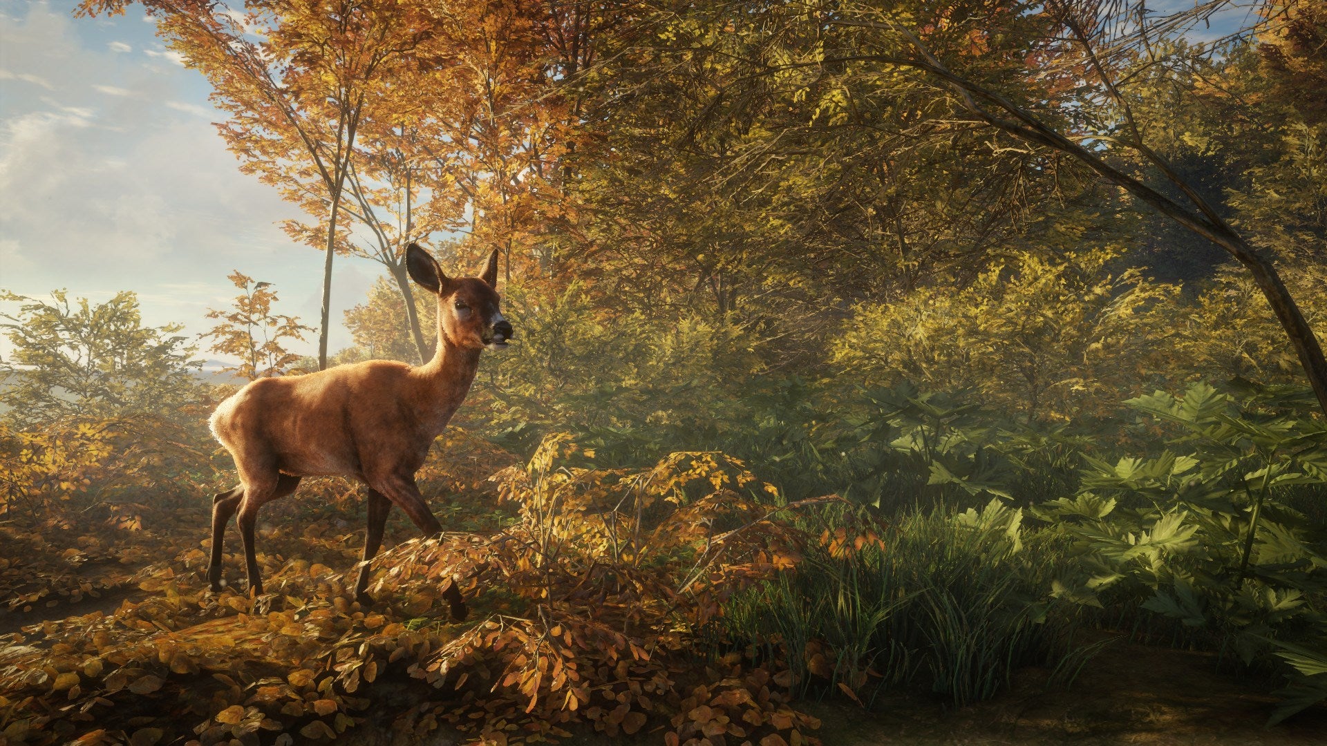 theHunter: Call of the Wild PS4 Account