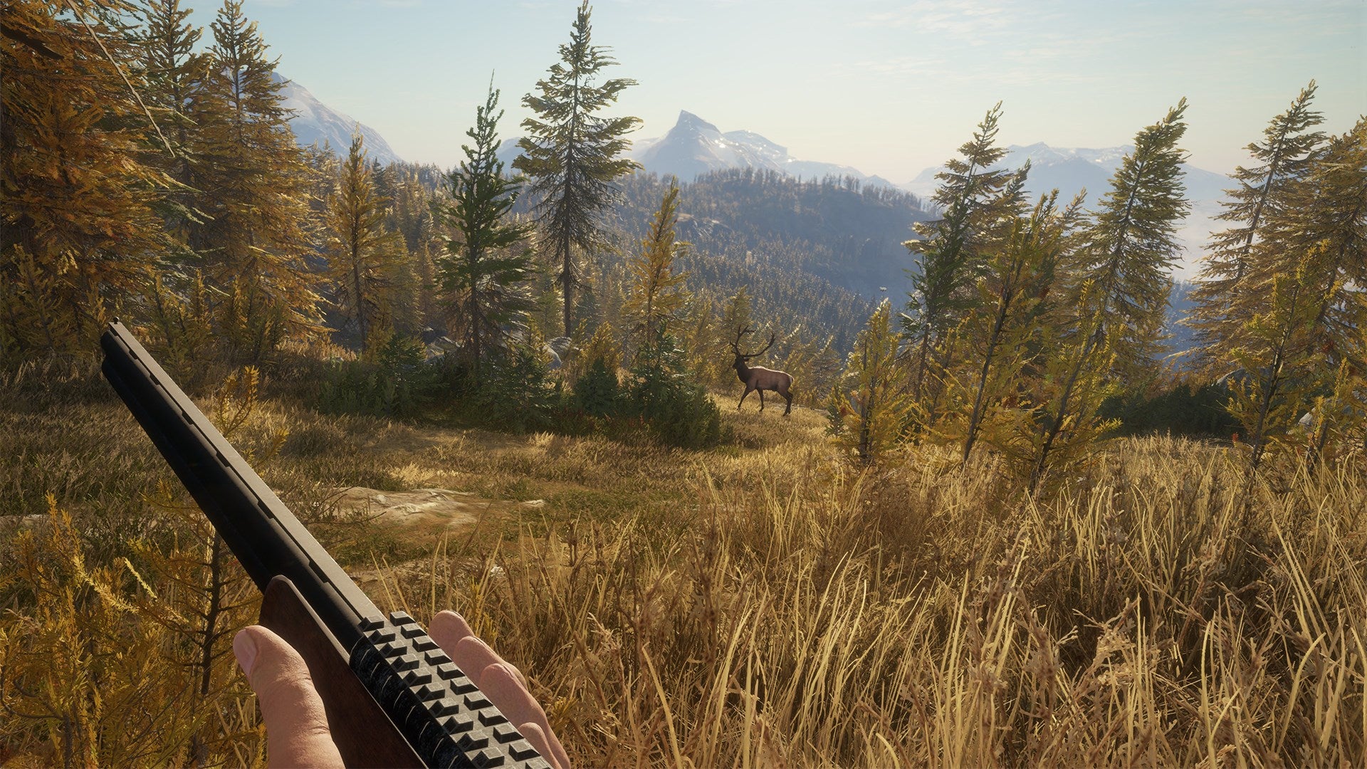 theHunter: Call of the Wild PC Windows 10 Account