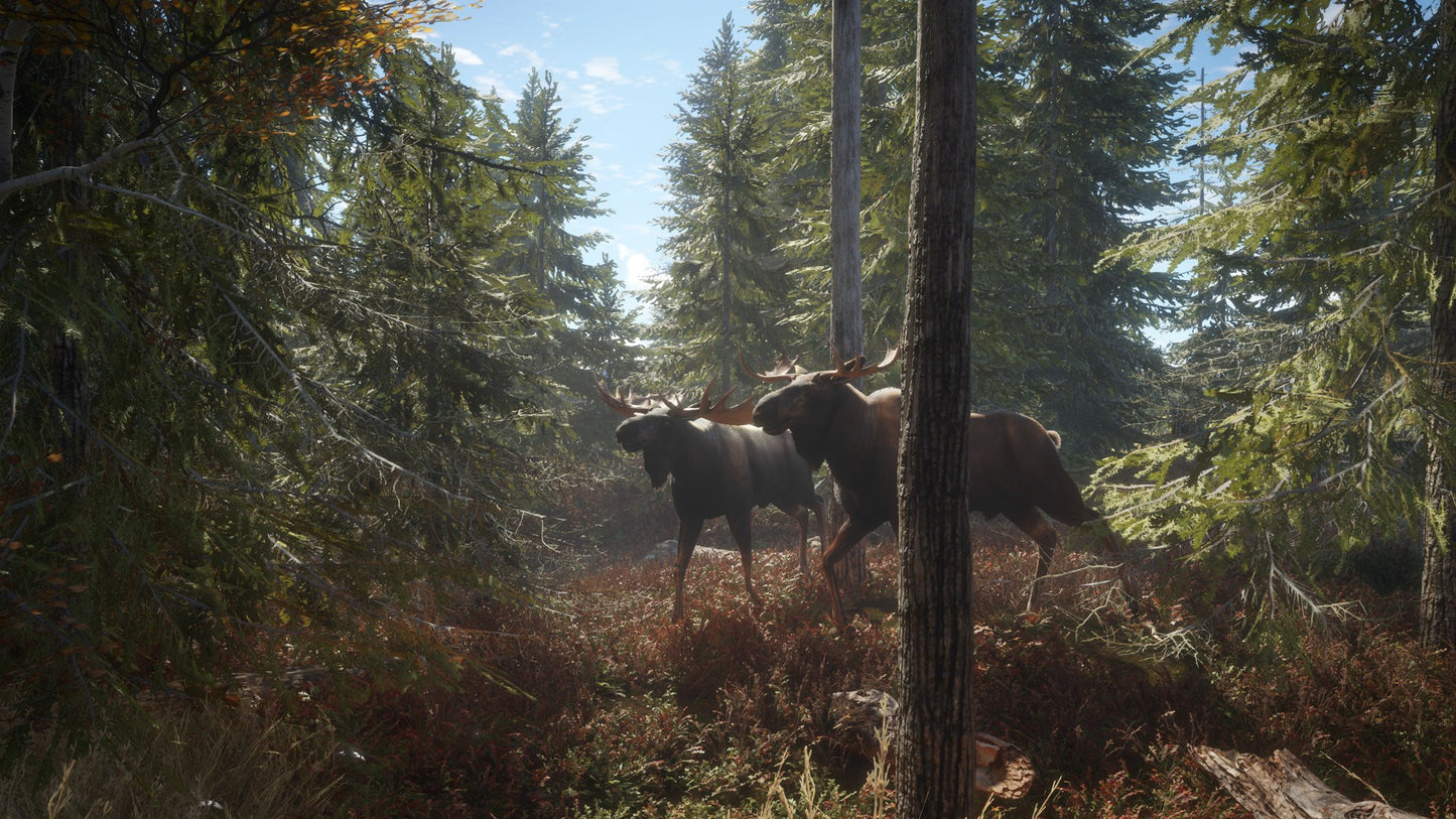 theHunter: Call of the Wild PS4 Account