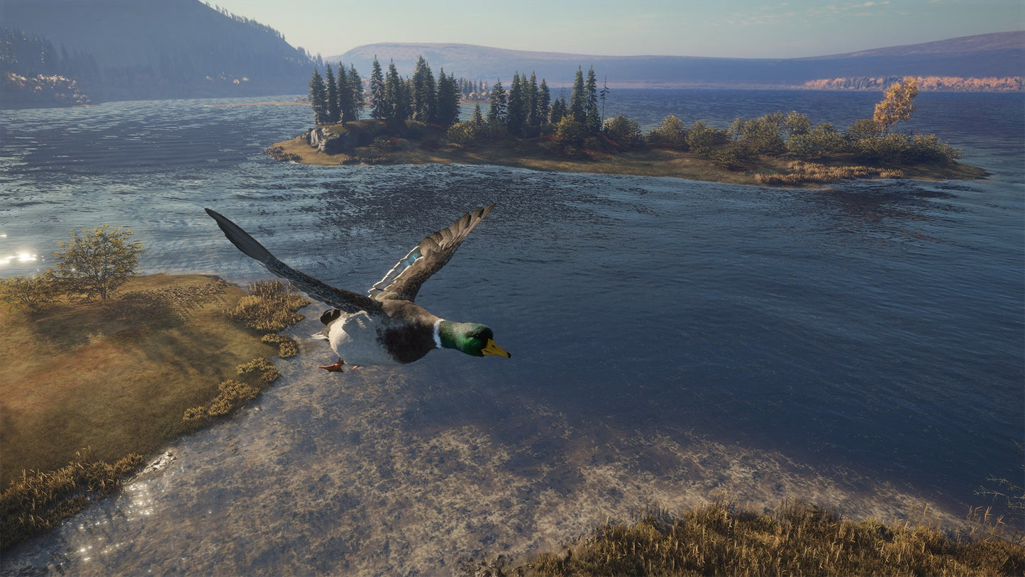 theHunter: Call of the Wild PC Windows 10 Account