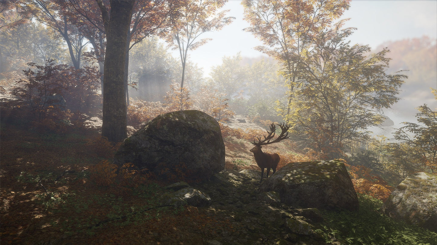 theHunter: Call of the Wild PS4 Account