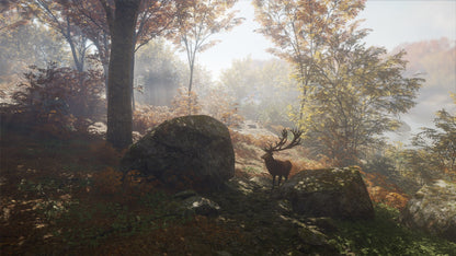 theHunter: Call of the Wild PS4 Account