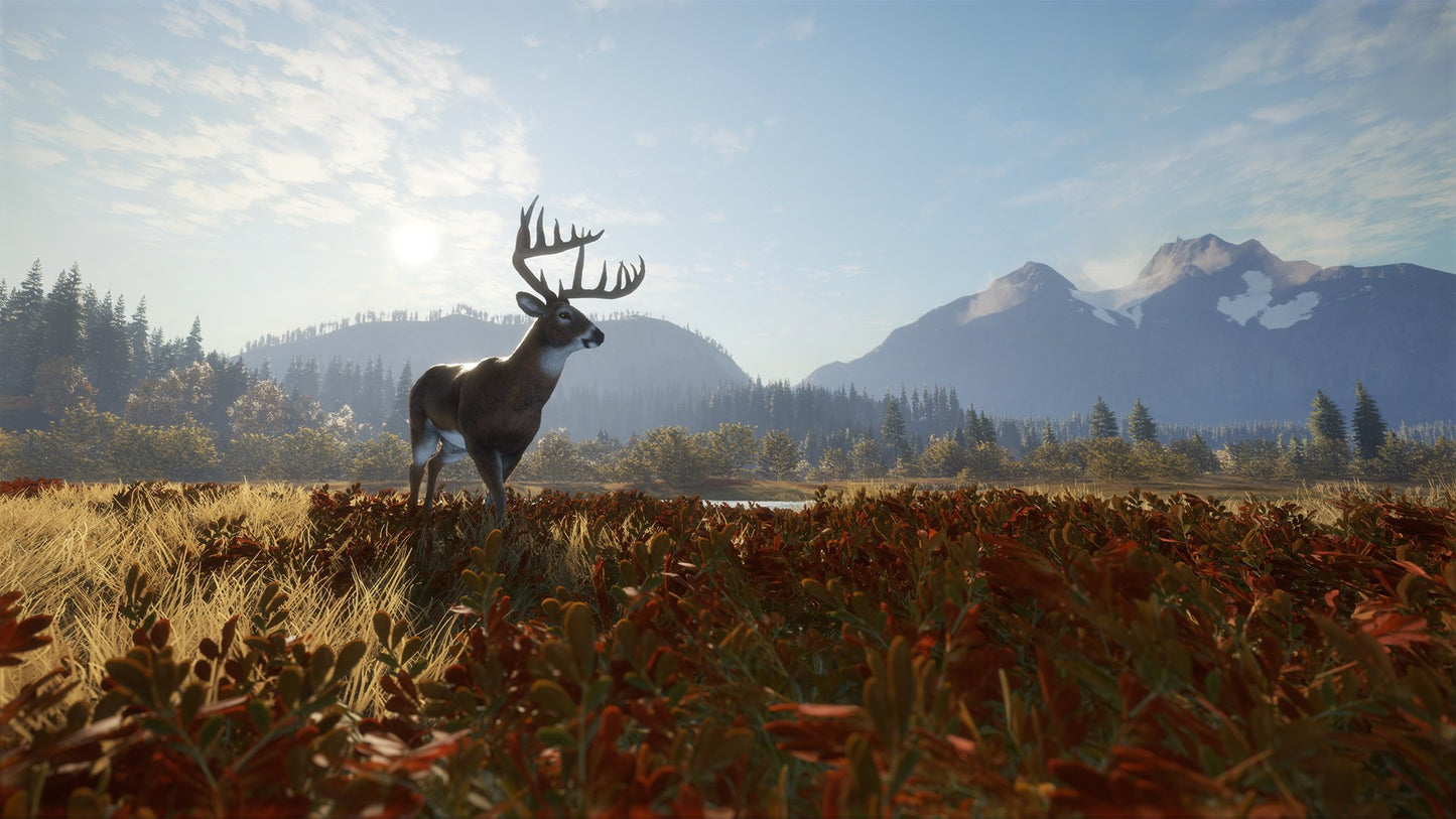 theHunter: Call of the Wild PS4 Account