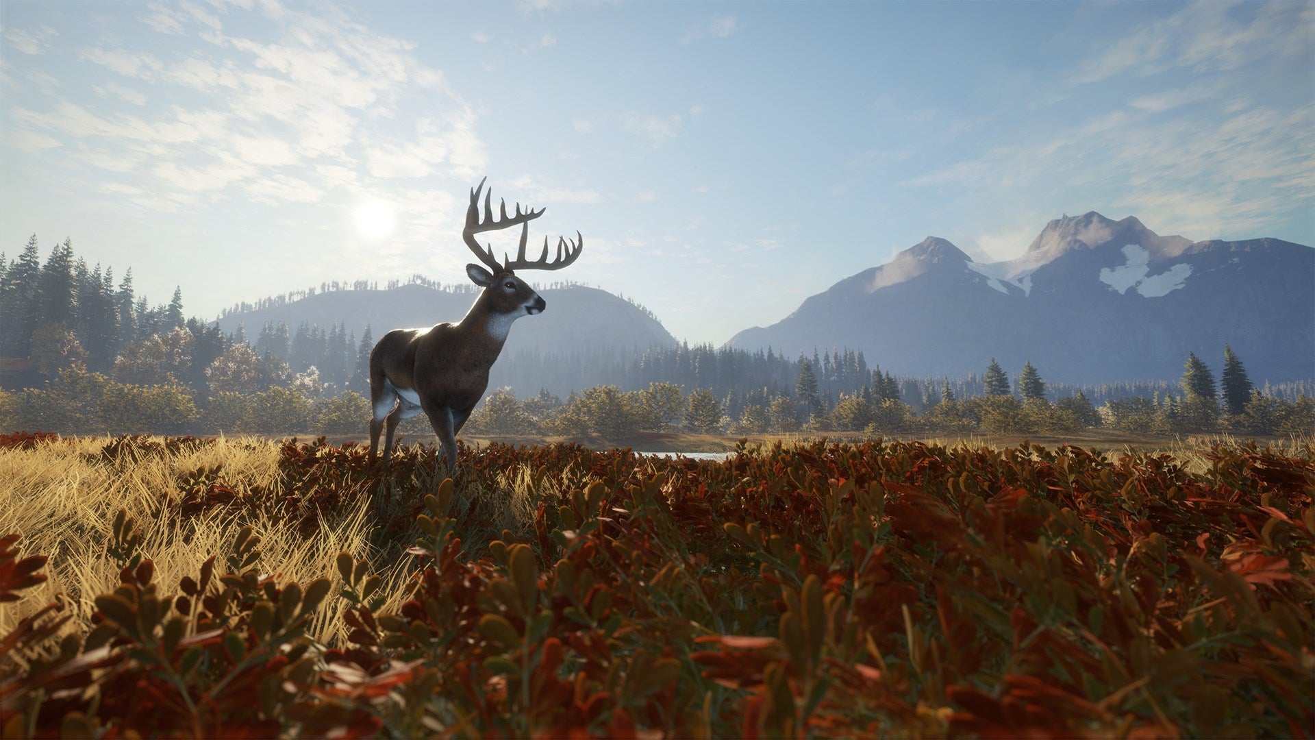 theHunter: Call of the Wild PS4 Account