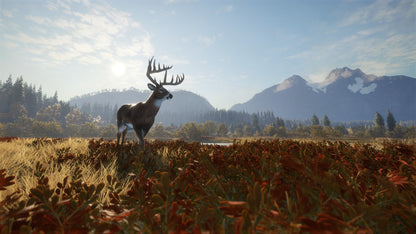 theHunter: Call of the Wild PS4 Account