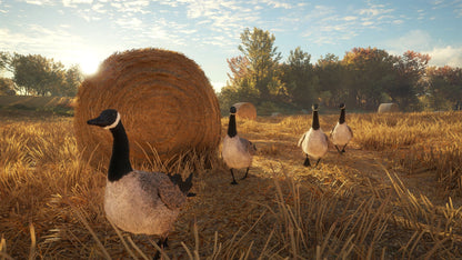 theHunter: Call of the Wild PS4 Account