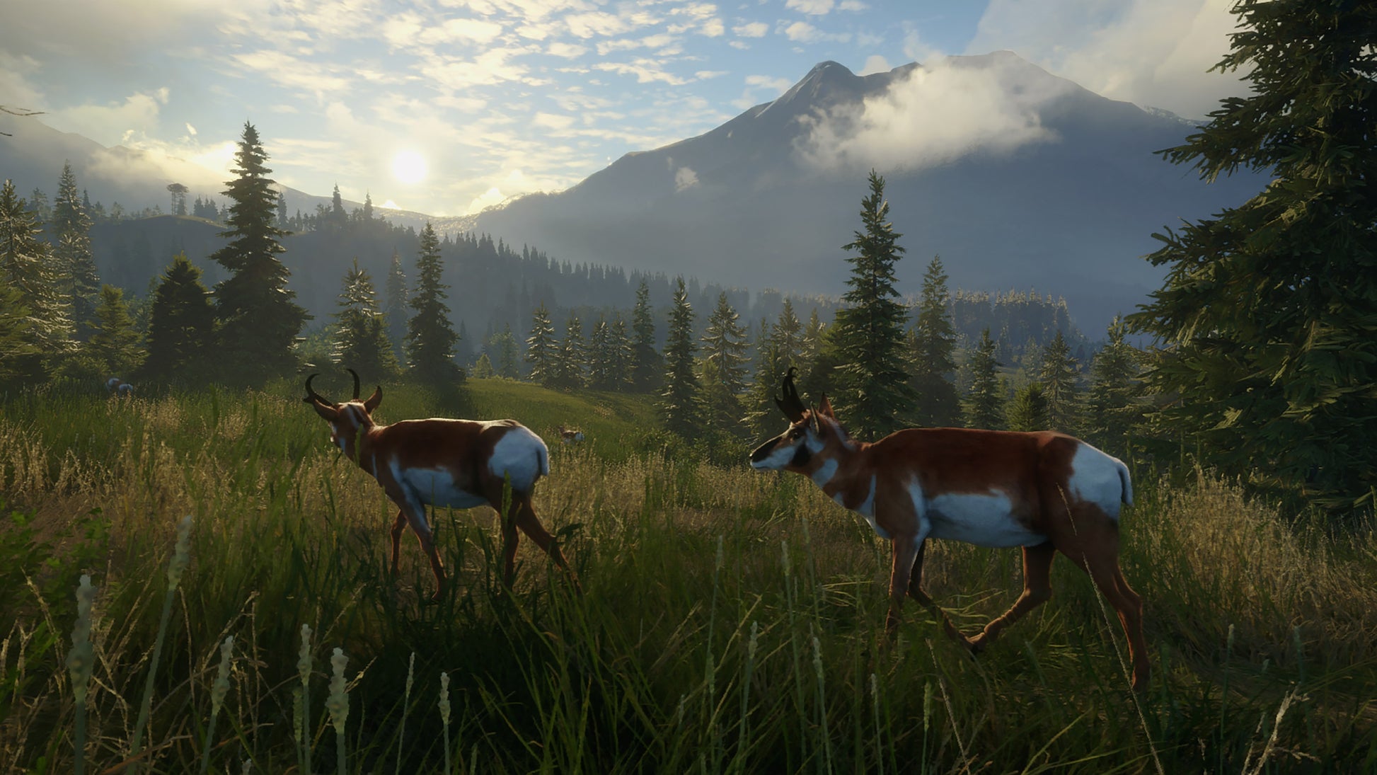 theHunter: Call of the Wild - Seasoned Hunter Bundle XBOX One / Xbox Series X|S Account