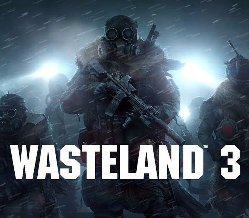 Wasteland 3 PS4 / PS5 Online Account Activation