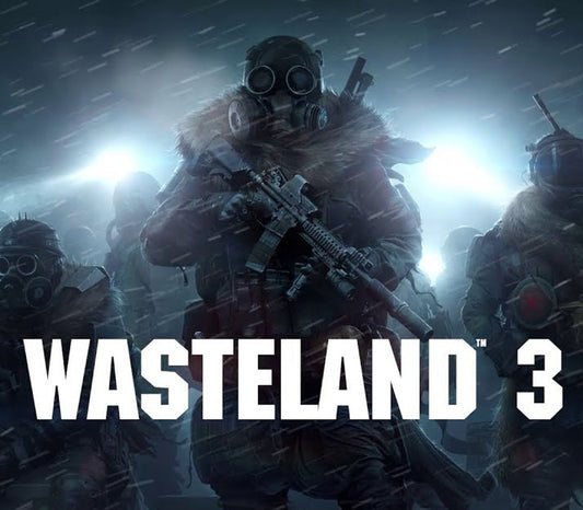 Wasteland 3 PS4 Account