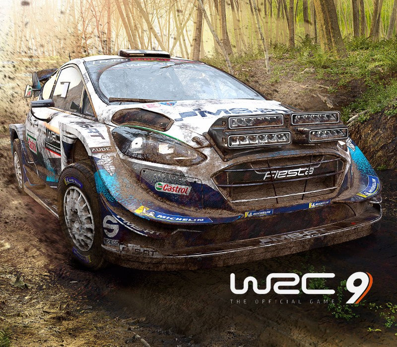 WRC 9 FIA World Rally Championship XBOX One / Xbox Series X|S Account