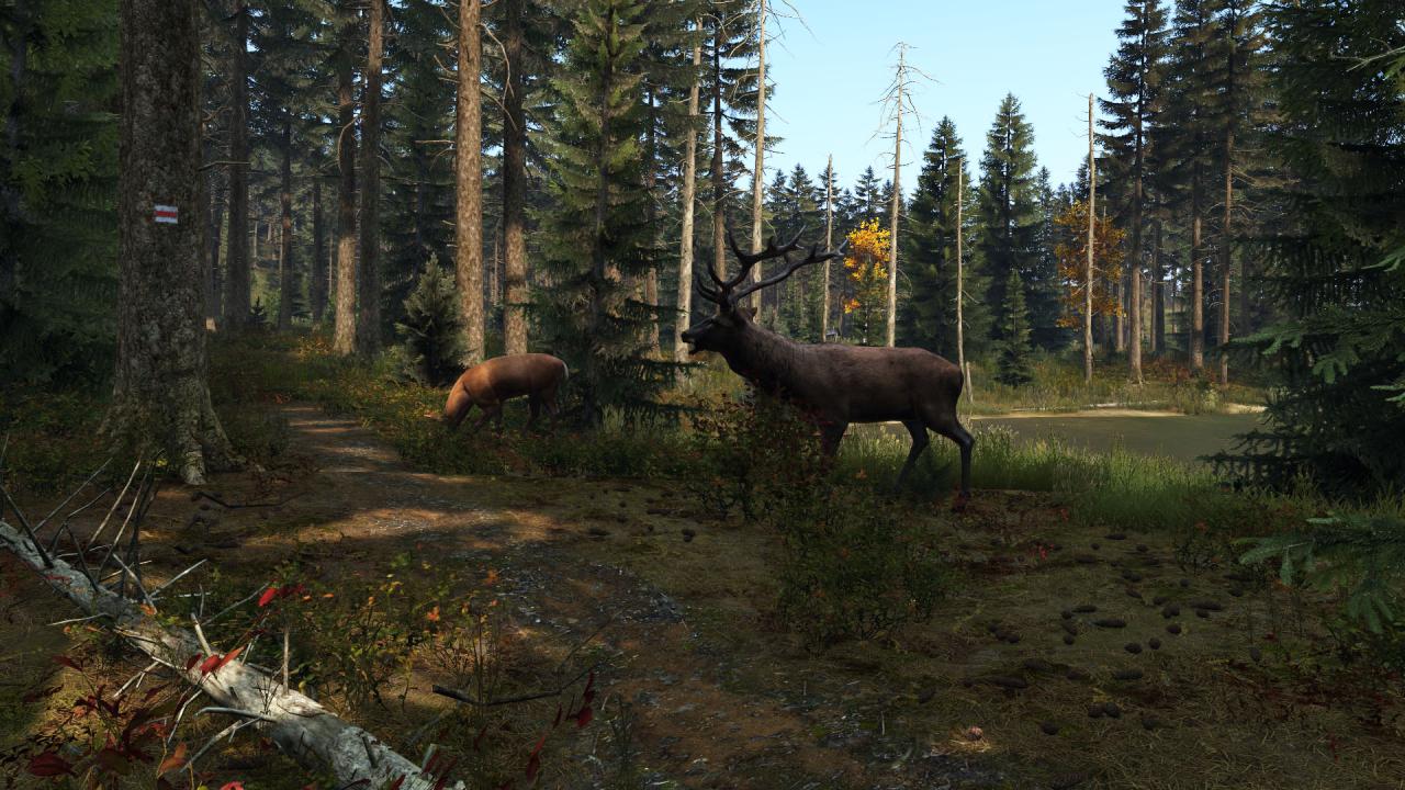 DayZ PS4 Account